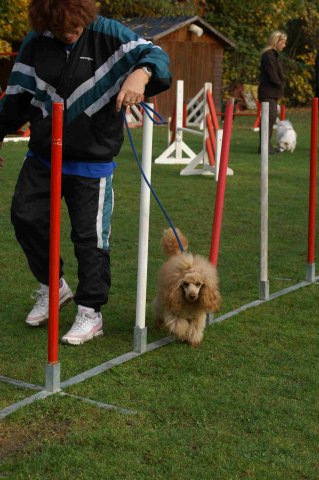 agility 2011-10-30